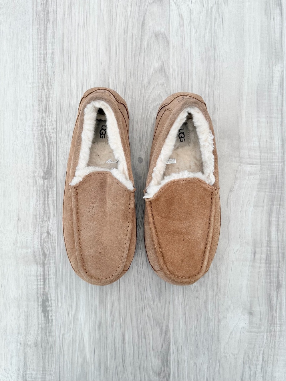 UGG Men's Ascot slippers in the Chestnut color